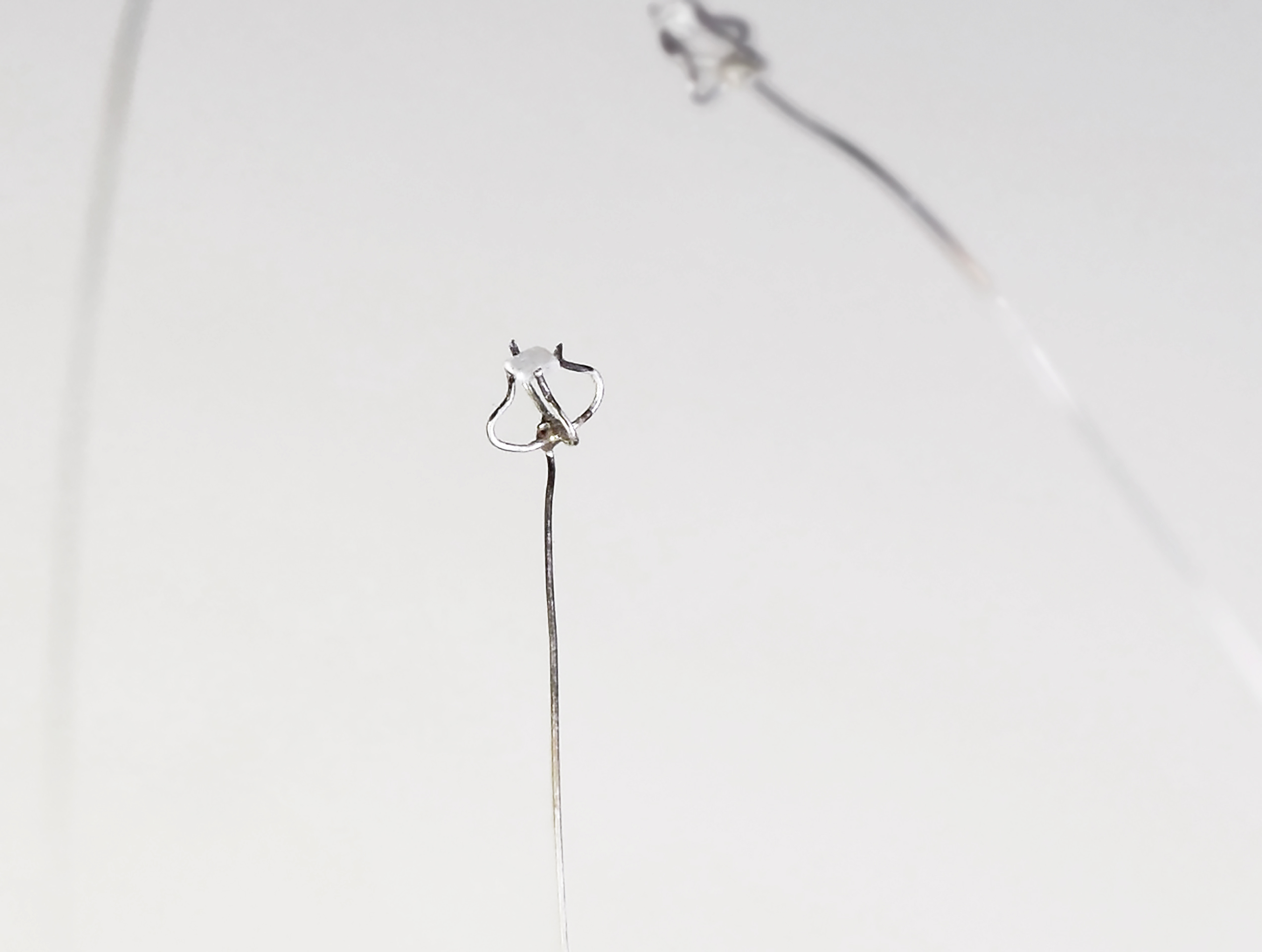 Tear drop flower, Judit Fritz 2021, (photo Judit Fritz)